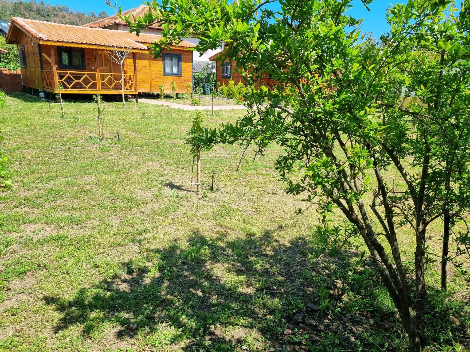 Ugur Pansiyon Bungalows Çıralı Kültér fotó